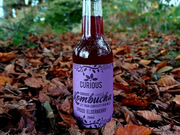 spiced elderberry Kombucha
